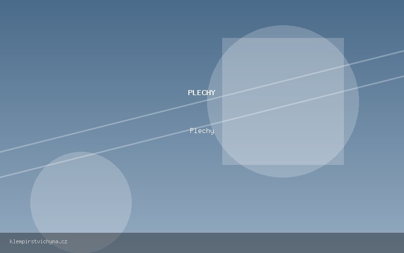 Plechy