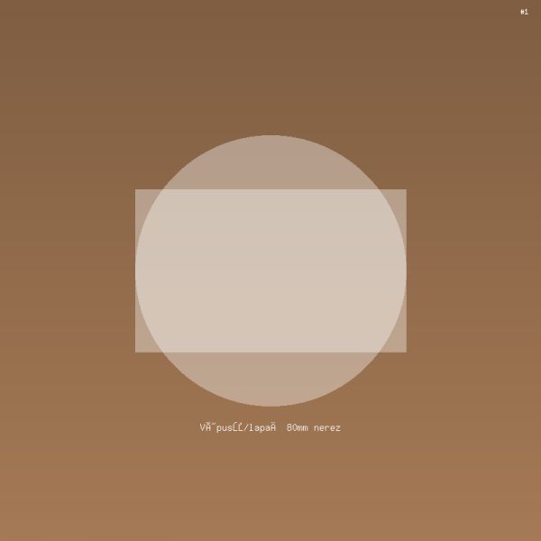 Výpusť/lapač 80mm nerez