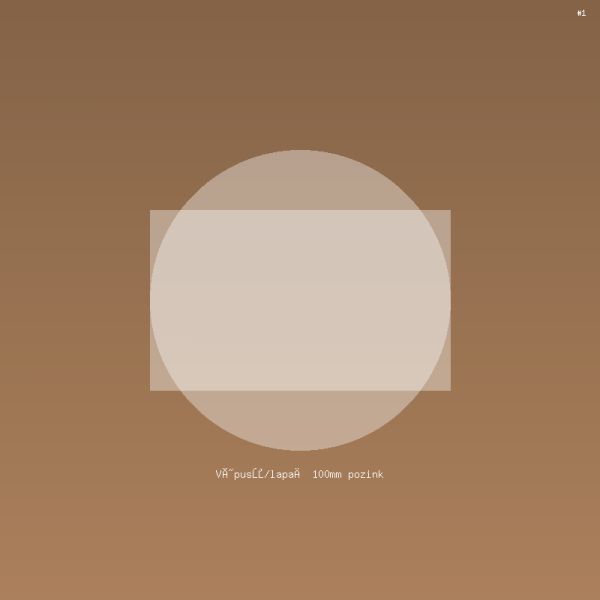 Výpusť/lapač 100mm pozink