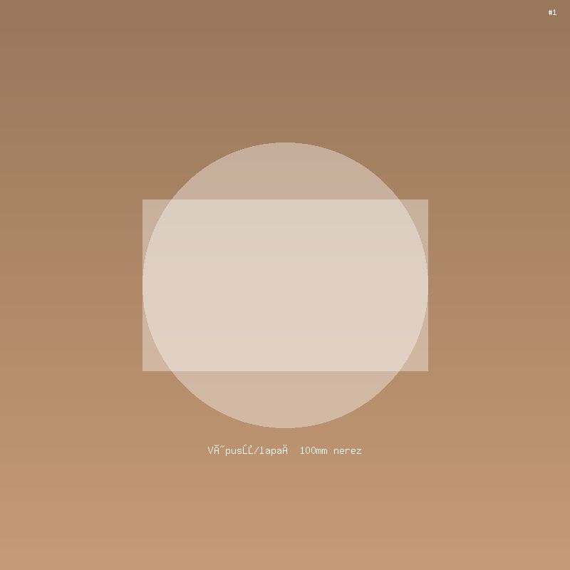 Výpusť/lapač 100mm nerez