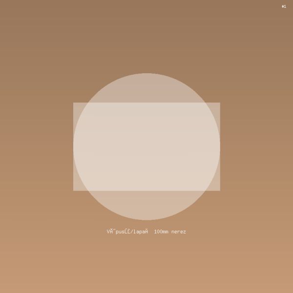 Výpusť/lapač 100mm nerez